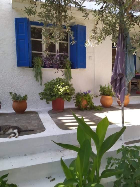 Stamoulis Apartments Kampos Marathokampou Exteriér fotografie