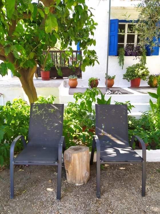 Stamoulis Apartments Kampos Marathokampou Exteriér fotografie
