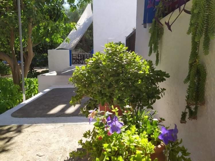 Stamoulis Apartments Kampos Marathokampou Exteriér fotografie