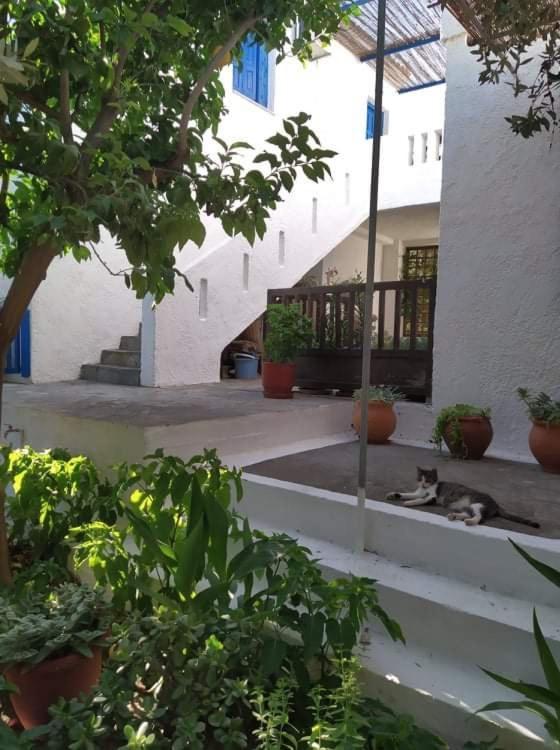 Stamoulis Apartments Kampos Marathokampou Exteriér fotografie